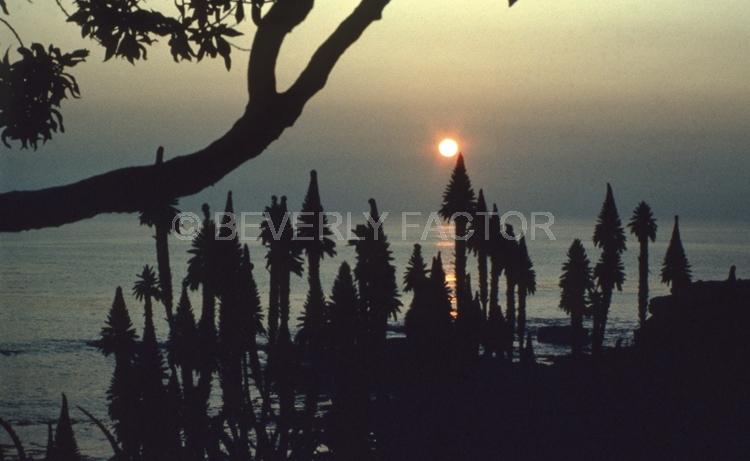 Island;laguna beach;Sunset;sky;clouds;sun;water;sillouettes;ocean